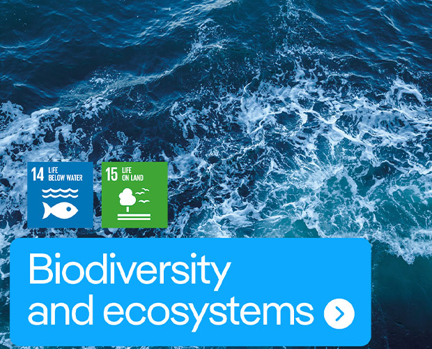 Biodiversity and ecosystems