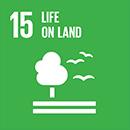 United Nations Sustainable Development Goals: Life on Land