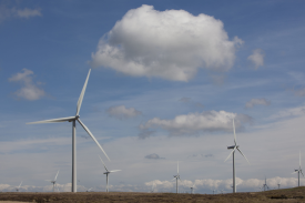 Whitelee Windfarm