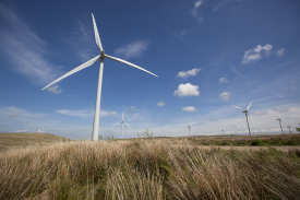 Whitelee Windfarm