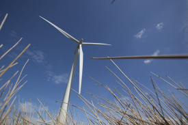 Whitelee Windfarm